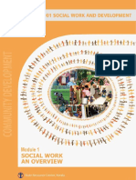 2016 - Swaraj - CD001 M1 Social Work Overview PDF