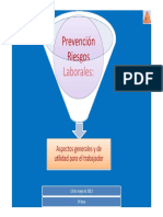 Prevención Riesgos Laborales PDF