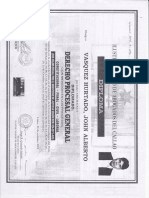 COLEGIO DE ABOGADOS DEL CALLAO.pdf