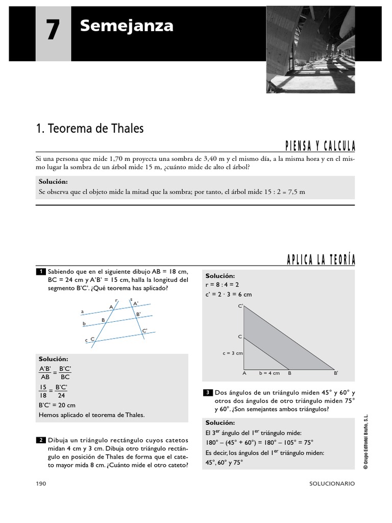 Problemas Semejanza 4º Eso Pdf Triangulo Politopos