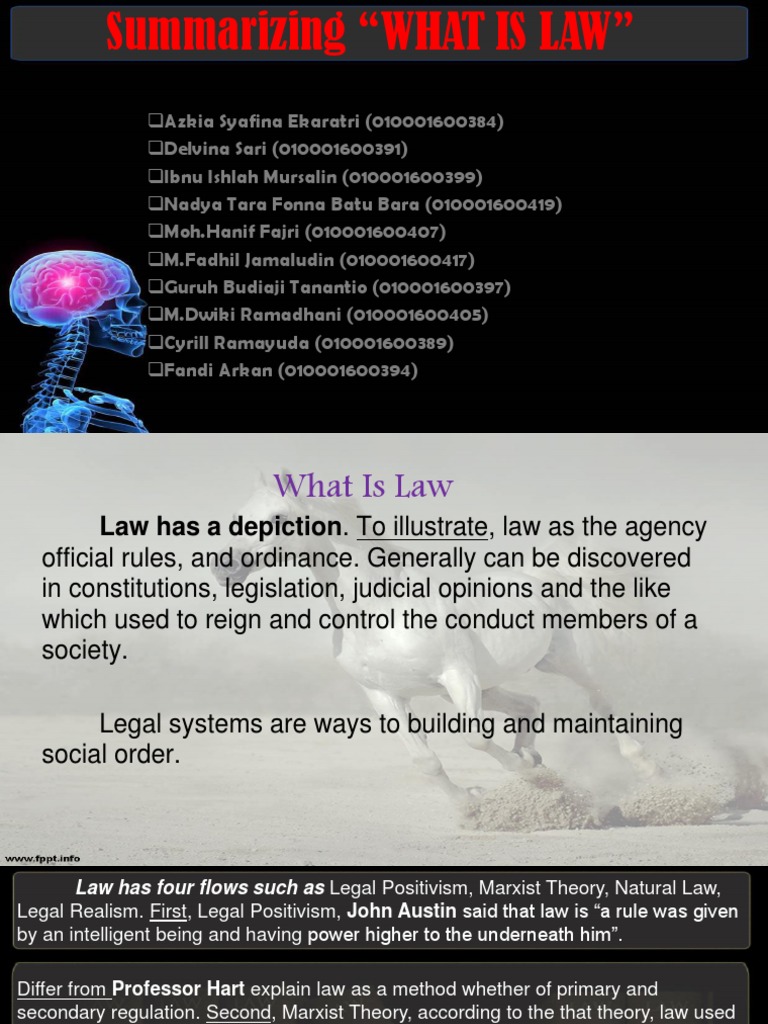 What Is Law PDF Natural Law Public Sphere
