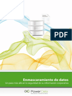Guía_Definitiva_Enmascaramiento_de_Datos.pdf