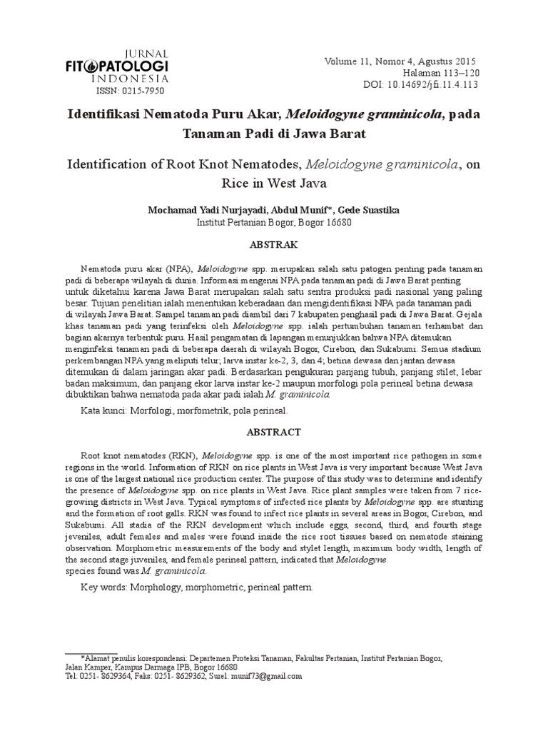 Identifikasi Nematoda Puru Akar Meloidogyne graminicola
