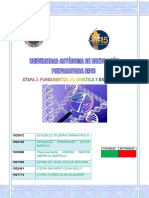 Actividad Integradora Génetica E-3