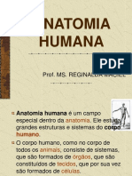 ANATOMIA HUMANA.ppt