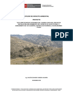 Estudio de impacto ambiental NUEVA ESPERANZA Rev WC 05-12-18.docx