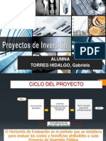 Proyectos de Inversion Publica PPT Gaby
