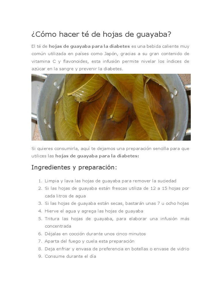 Cómo Hacer Té de Hojas de Guayaba Diabetes Té Prueba gratuita de