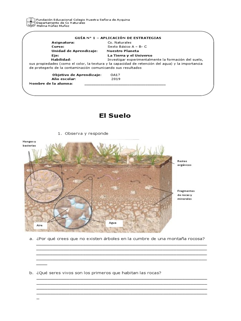 Guía del Suelo para Sexto Básico | PDF | Suelo | Residuos