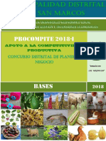 Bases Procompite PDF