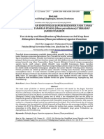 Jurnal Rizosfer Pisang PDF