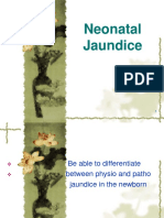 06 Neonatal Jaundice-1