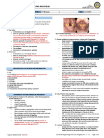 03 Jan8 Trans Anesthesia in Labor and Delivery DrMorin