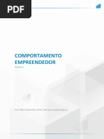 Aula 04 - Comportamento Empreendedor