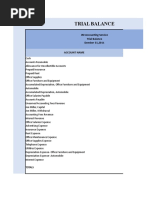 Trial Balance Report