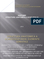 Anatomie Structura Scheletului