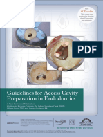 guidelinesforaccesscavity.pdf