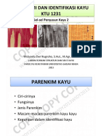 Anatomi Dan Identifikasi Kayu - Pertemuan 5 (Sel-Sel Penyusun Kayu 2) PDF