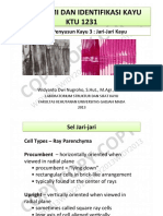 Anatomi Dan Identifikasi Kayu - Pertemuan 6 (Sel-Sel Penyusun Kayu 3-Jari2)