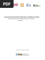 Linking Poor Rural Households To Microfinance and Markets in Ethiopia: Baseline and Mid-Term Assessment of The PSNP Plus Project in Sire and Dodota