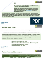 Belbin Team Roles