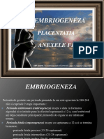 Embriogeneza