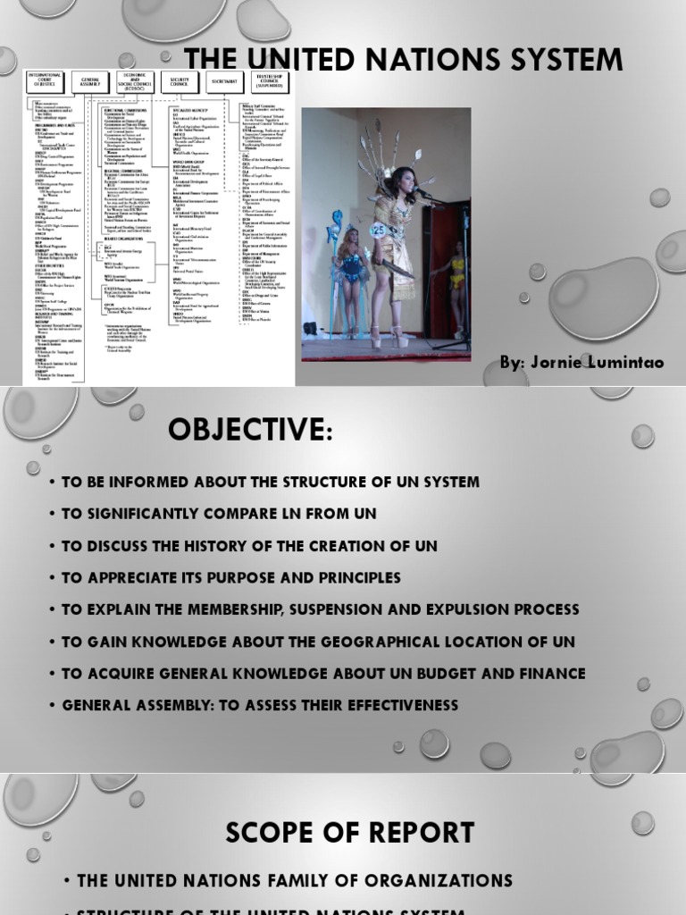 United Nations System Overview | PDF | United Nations | International ...