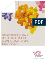 VCR Katalog (Italian) PDF