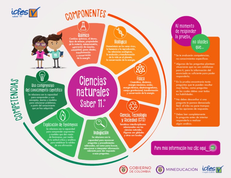 Competencias en Ciencias Naturales ICFES | PDF | Ciencias Naturales ...