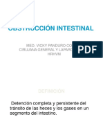 C04 Dra Vicky Obstruccion Intestinal