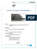 348049967-Imprimir-Informe-Leon-Dormido-2.pdf