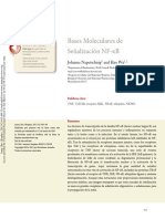 Molecular-B.pdf