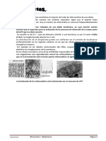 a14_mitocondriacatabolismo.pdf