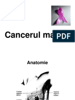 LiQl4Curs_10_-_cancerul_mamar.ppt