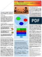 REI model disleksije.pdf
