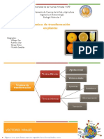 Transformación-de-Plantas.pptx