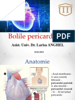 20.03 - Bolile Pericardului PDF