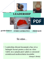 1 OGavrilovici Leadership - Intro