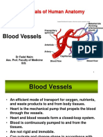 Blood .ppt