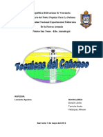 97796933-Tecnicas-de-Canoneo-de-pozos-exposicion.docx