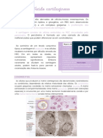 Tecido Cartilaginoso-Histologia