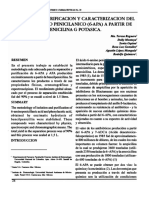 6 Apa PDF