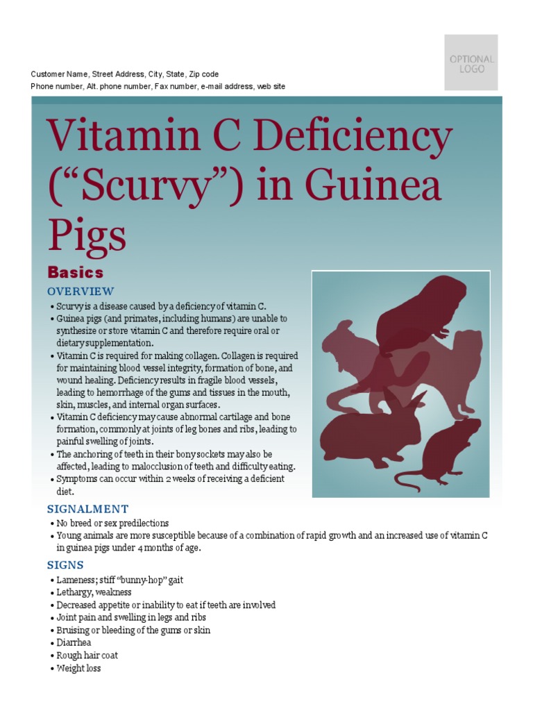 Vitamin C Deficiency Scurvy in Guinea Pigs Download Free PDF