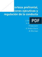 corteza_muestra.pdf