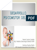 desarrollo psm.pdf