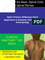 Djoko Prakosa, M.Mansyur Romi Department of Anatomy, Embryology & Anthropology