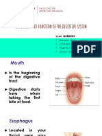 The Structure and Function of The Digestive System