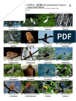 769_colombia_aves_del_piedemonte_llanero.pdf