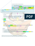 NOTA: Por Favor Envíe Los Ejercicios I & II en UN SOLO Archivo de Microsoft Word Al Link Disponible en El Aula Virtual