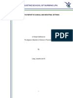 St. Augustine School of Nursing Lipa: A Narrative Report in Clinical and Industrial Settings